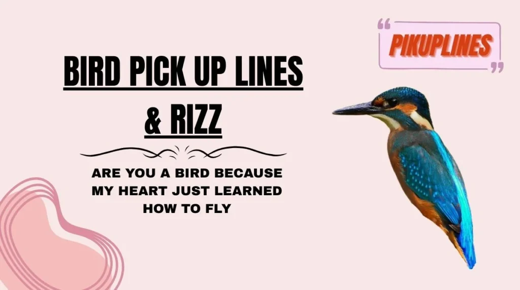 Bird Pick Up Lines & Rizz