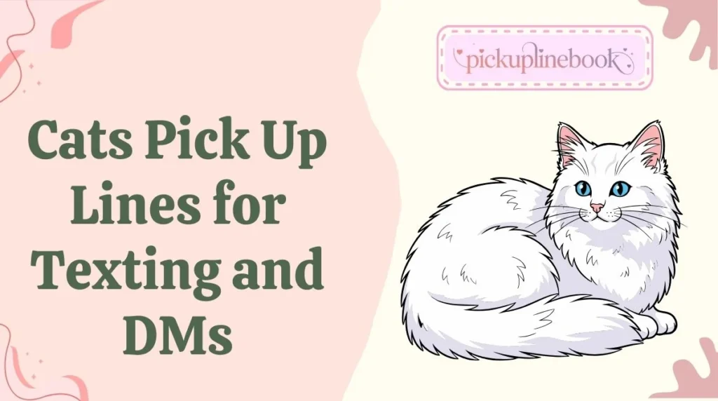 Cats Pick Up Lines for Texting and DMs