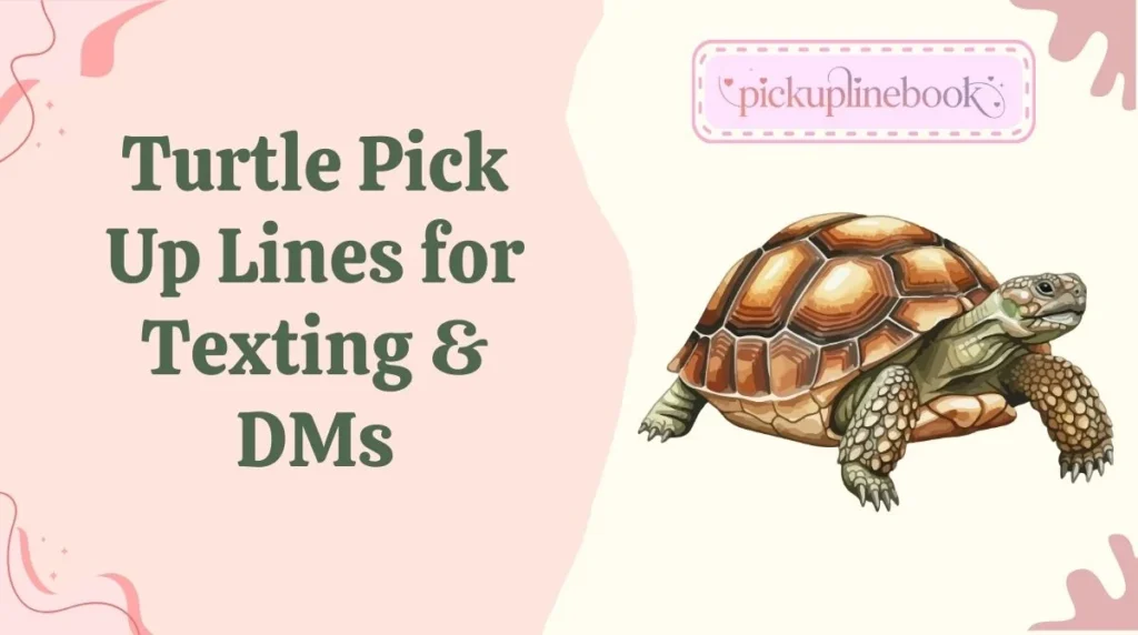 Turtle Pick Up Lines for Texting & DMs